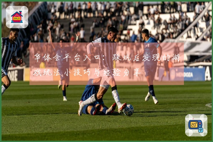 华体会平台入口：踩坑后发现的游戏玩法小技巧与经验分享